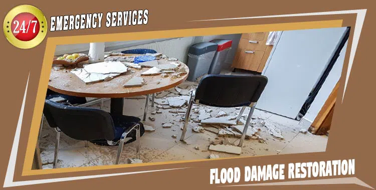 #bslide1 logo-image - banner-01