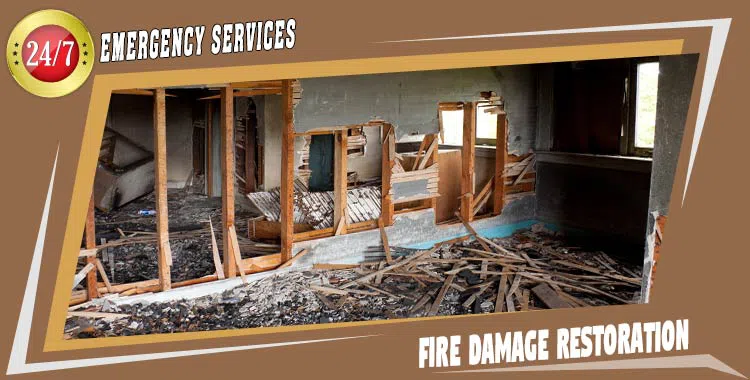 #bslide2 logo-image - banner-02